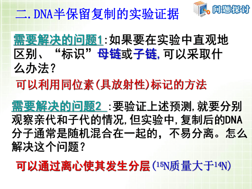 3.3DNA的复制 课件（共22张PPT)-2022-2023学年高一下学期生物人教版（2019）必修2