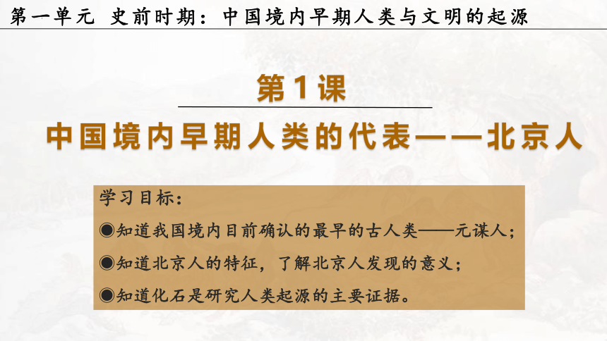 第1课 中国境内早期人类的代表——北京人 课件（15张PPT）