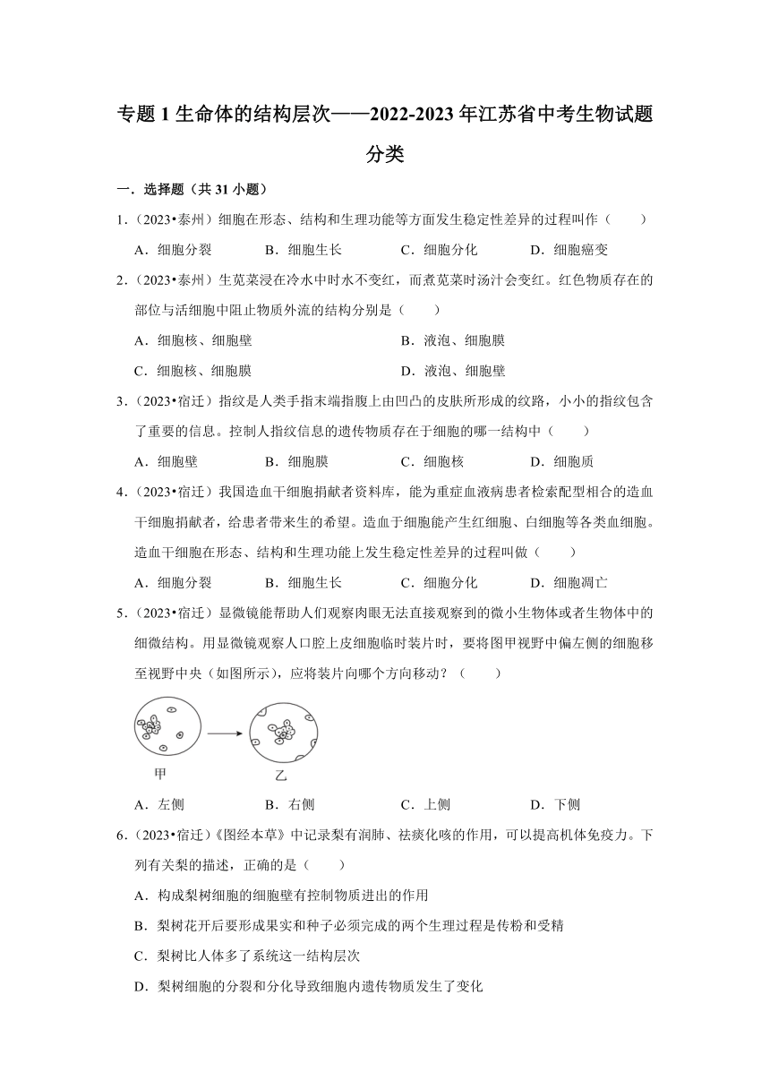 专题1生命体的结构层次——2022-2023年江苏省中考生物试题分类（含解析）