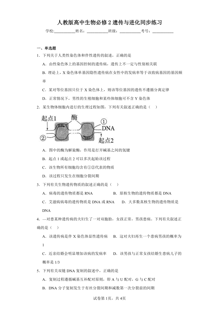 人教版高中生物必修2遗传与进化复习与测试（含答案）