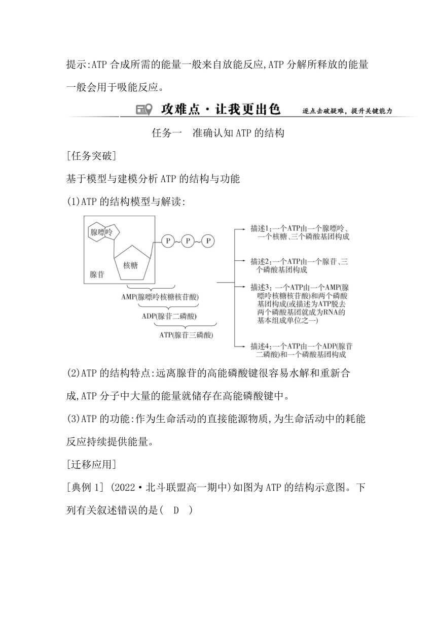 浙科版（2019）生物必修一 第三章第一节　ATP是细胞内的“能量通货”学案（有答案）