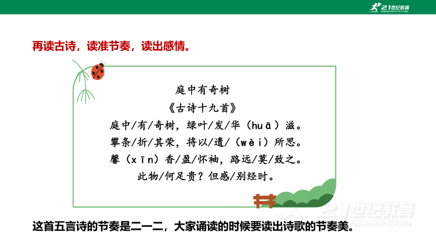 【备课先锋】第三单元 单元课外古诗词诵读 庭中有奇树 课件(共24张PPT)