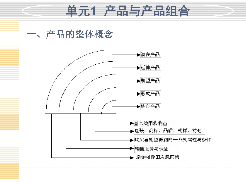 模块5  制定营销组合策略 课件(共166张PPT)- 《市场营销项目化教程》同步教学（轻工业版）