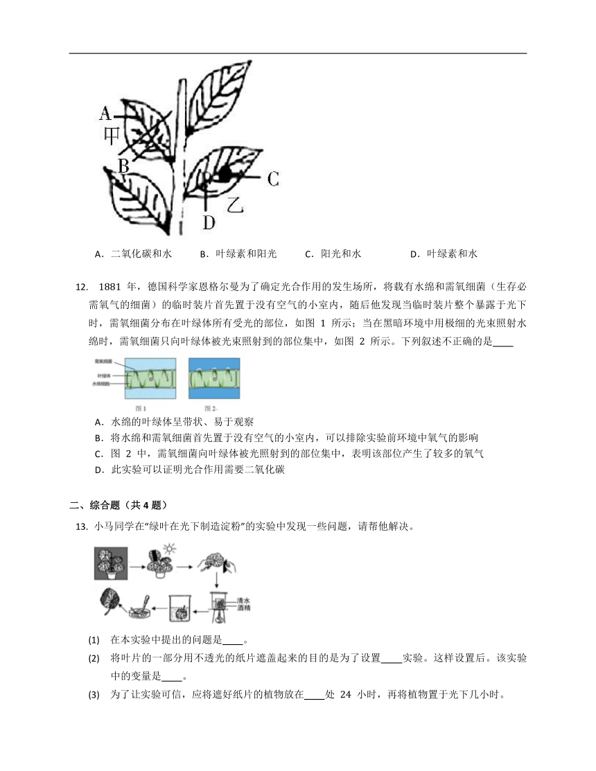 济南七上2.1.3绿色植物的光合作用（含解析）