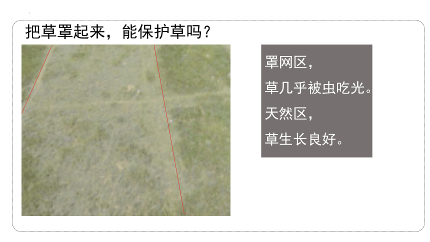 1.2.2生物与环境组成生态系统课件(共22张PPT) 人教版生物七年级上册