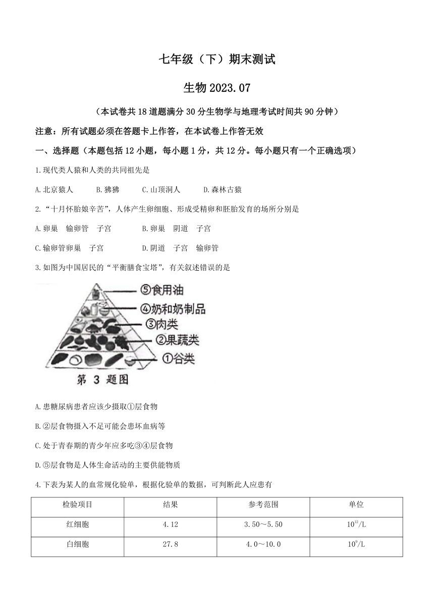 辽宁省大连市高新园区2022-2023学年七年级下学期期末生物试题（含答案）