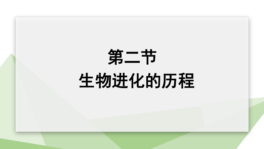 5.16.2 生物进化的历程 课件 (共21张PPT)2023-2024学年初中生物苏教版八年级上册