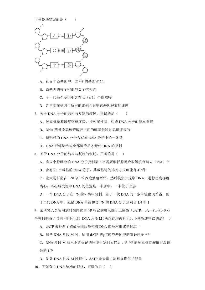 3.3DNA的复制 练习（解析版）