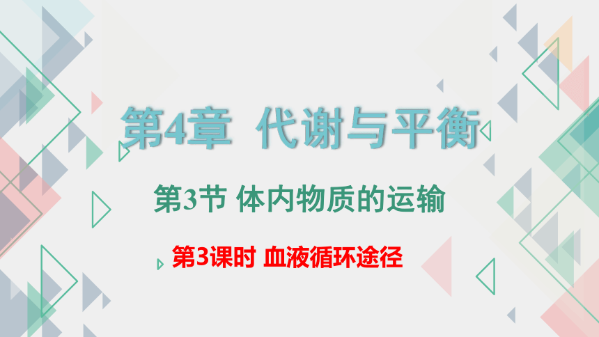 4.3 体内物质的运输（第3课时 课件 17张PPT）