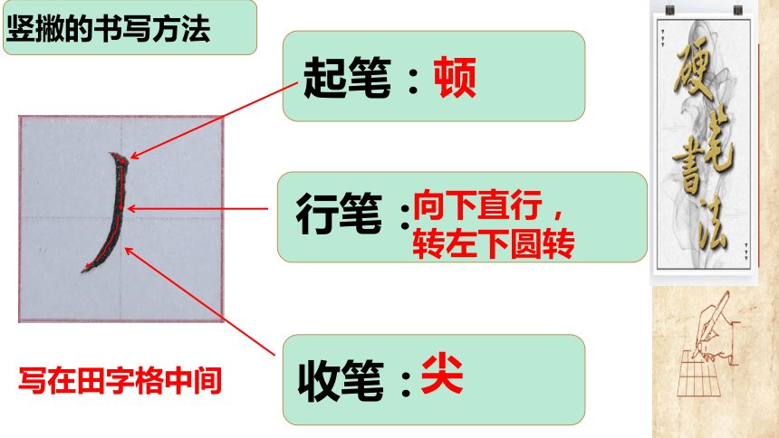 深圳市学校一年级书法第7课《竖撇、横撇的写法》课件