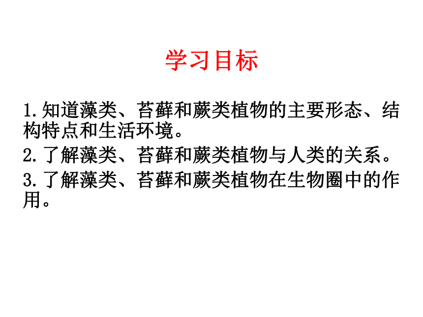 3.1.1藻类、苔藓和蕨类植物课件（共22张PPT）2023年秋人教版生物七年级上册