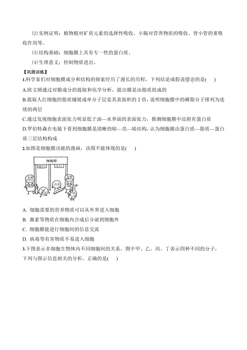 3.1细胞膜的结构和功能学案（含答案）