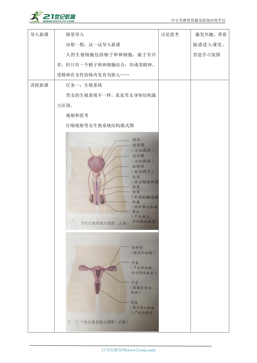 【新课标】人教版4.1.2人的生殖教学设计