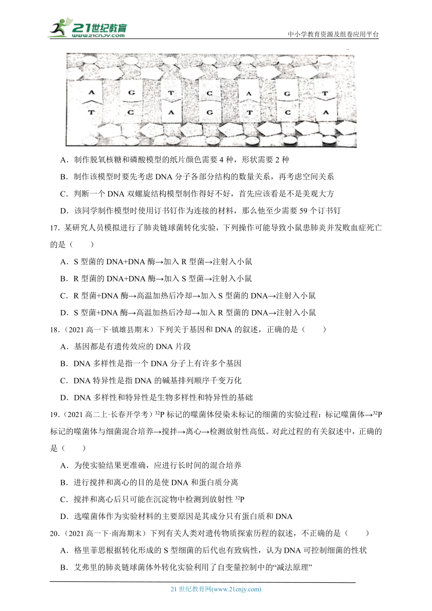 人教版（2019）高中生物必修2遗传与进化第三章基因的本质章节综合必刷题（解析版）