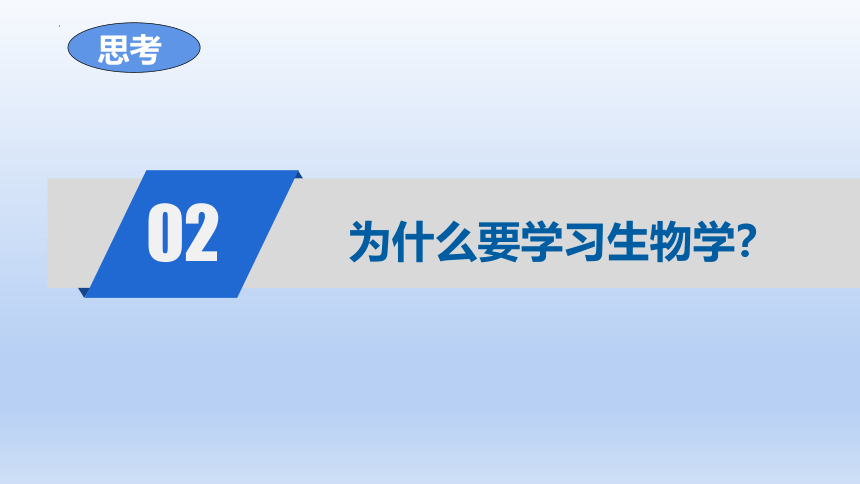 1.1.3我们身边的生物学课件(共35张PPT)2023-2024学年七年级生物上册