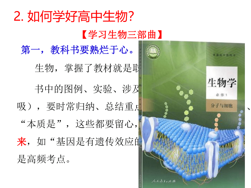 1.1 细胞是生命活动的基本单位(课件共69张PPT)