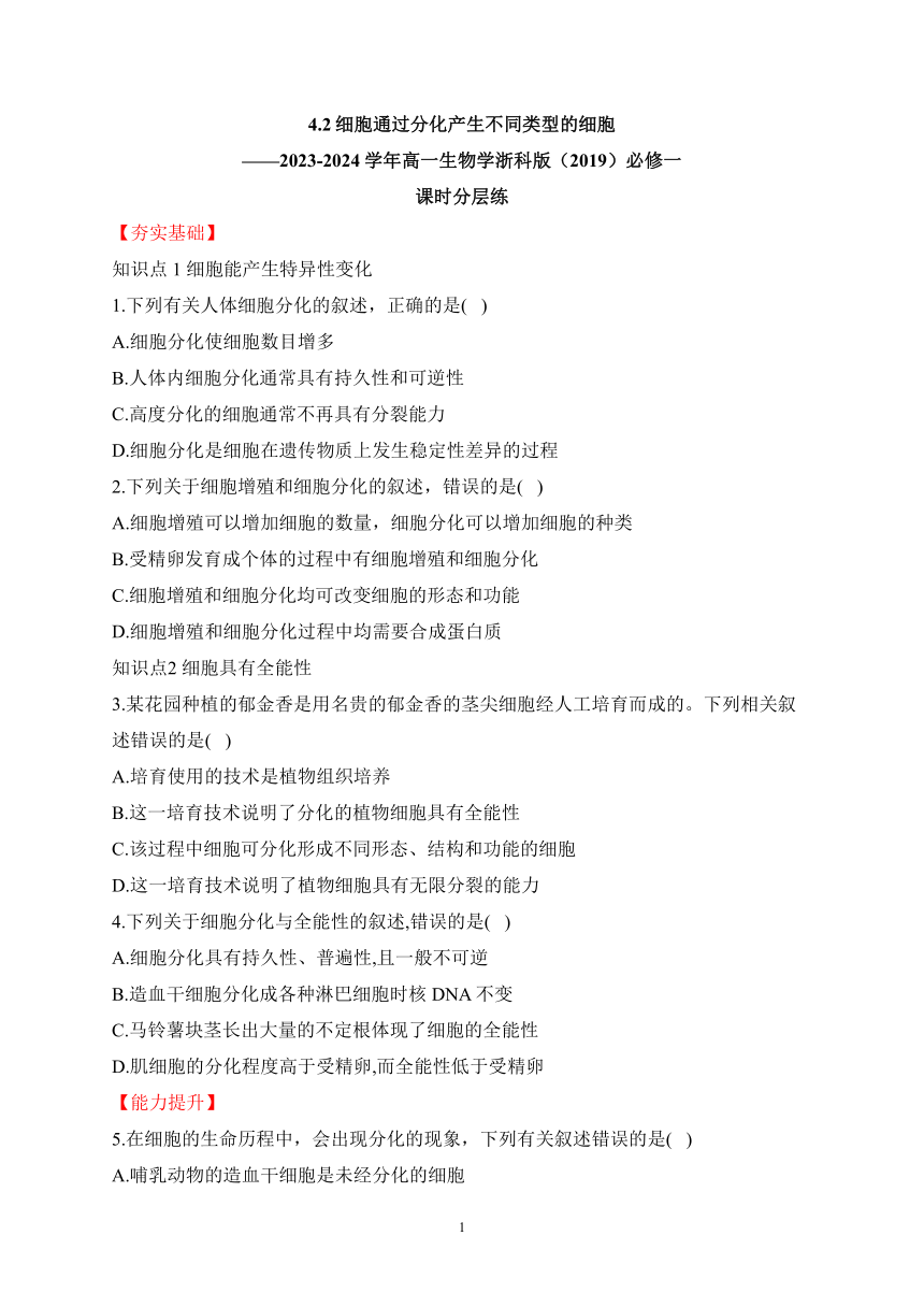 4.2细胞通过分化产生不同类型的细胞——2023-2024学年高一生物学浙科版（2019）必修一课时分层练（含解析）