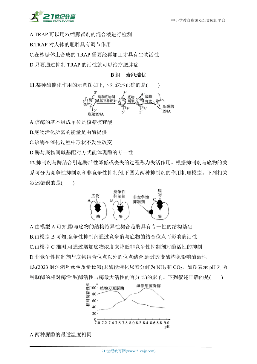 2025浙科版新教材生物学高考第一轮基础练--作业8　酶的本质和功能（含解析）