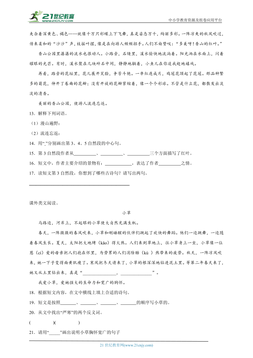 统编版语文三年级上册第二单元现代文阅读专项攻略（含答案）