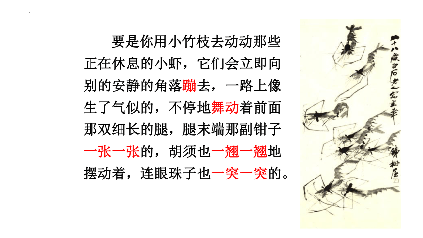 15.《小虾》课件(共25张PPT)