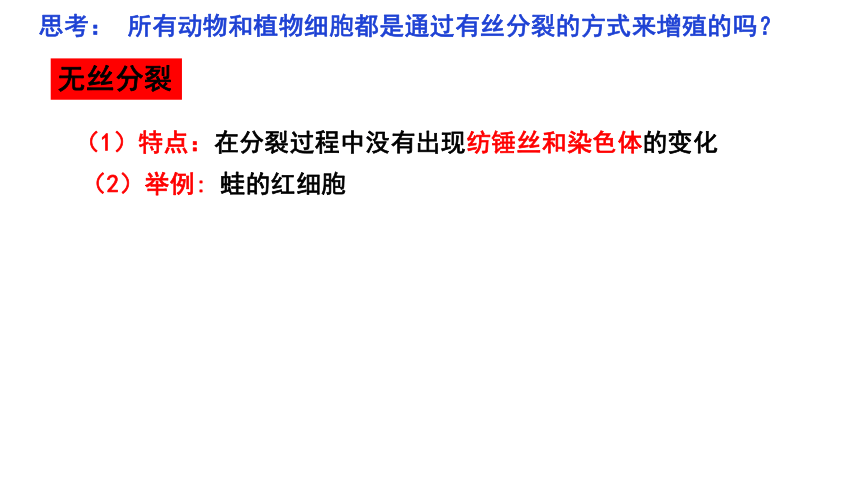 6.1 细胞的增殖  （第2课时）(共20张PPT)课件 2023—2024学年高一上学期生物人教版必修1