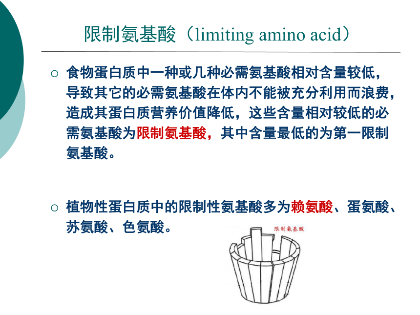 1营养学基础-4蛋白质 课件(共46张PPT)- 《营养与食品卫生学》同步教学（人卫版·第7版）