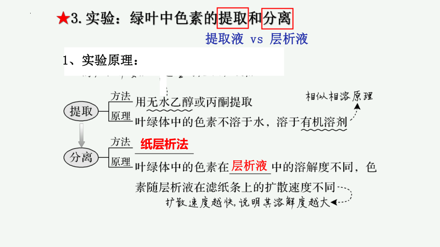 5.4 光合作用与能量转化 课件(共85张PPT) 2022-2023学年高一上学期生物人教版（2019）必修一