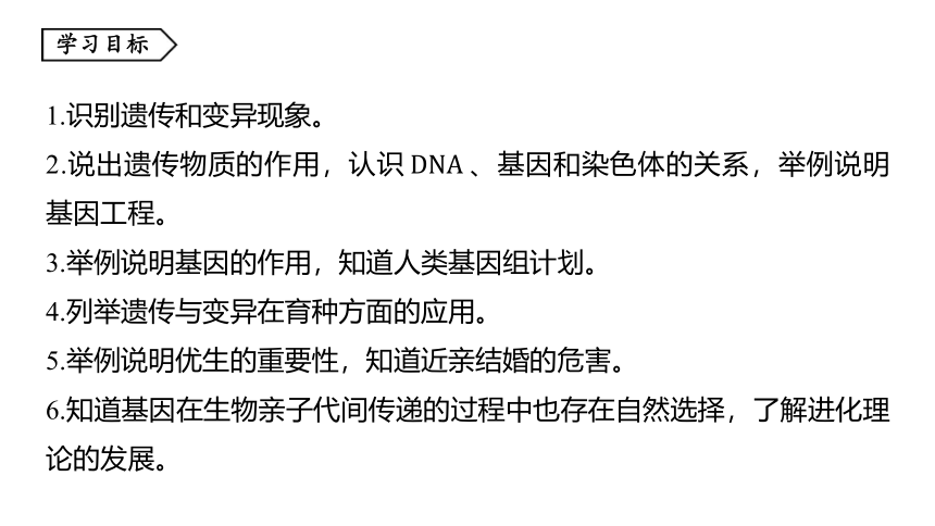 1.5遗传与进化（课件 29张PPT 学案)