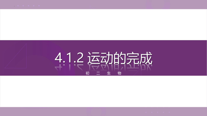 4.1.2 运动的完成-2023-2024学年八年级生物上册同步教学课件（冀少版）(共20张PPT)