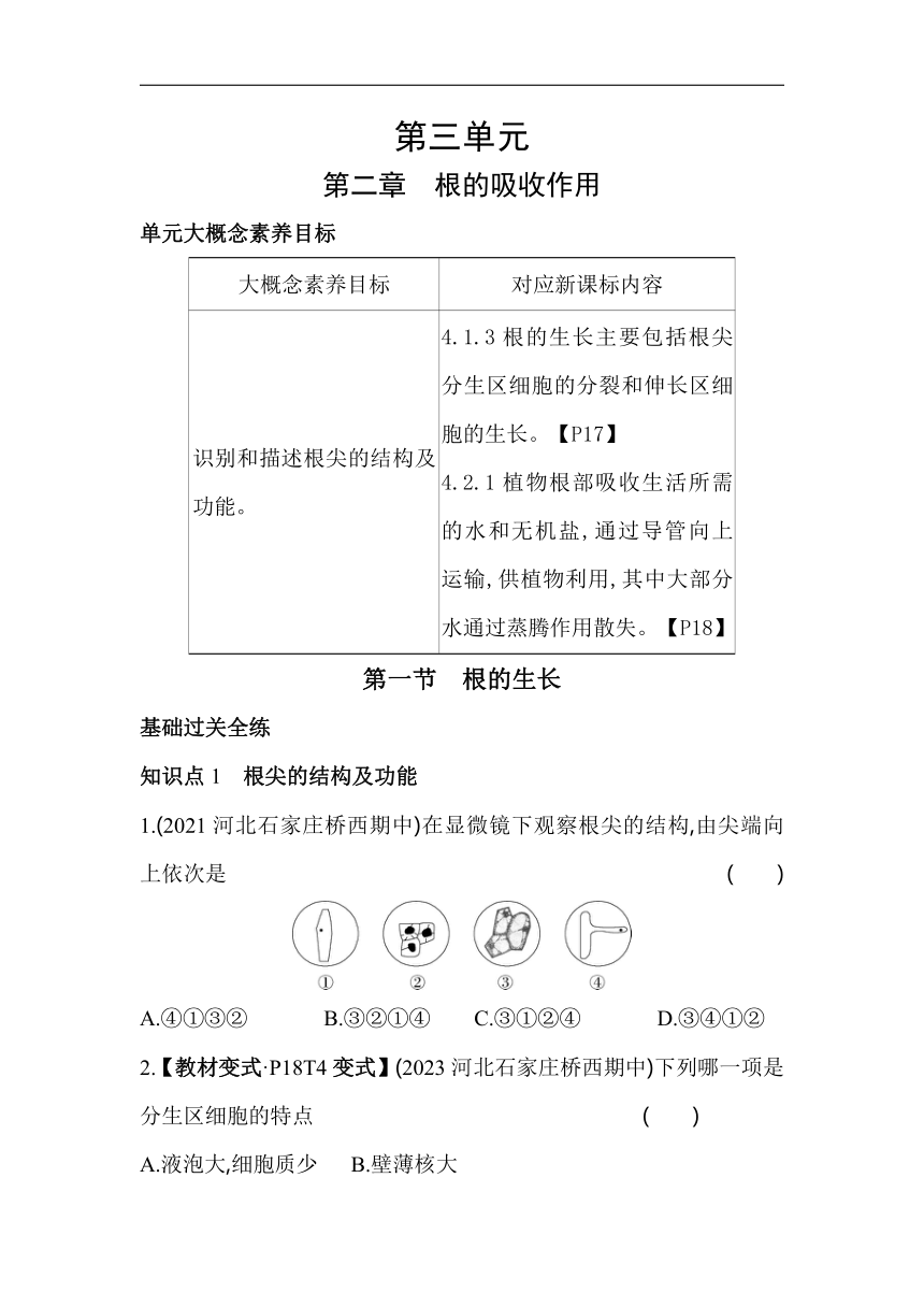 3.2.1根的生长素养提升练（含解析）冀少版生物八年级上册