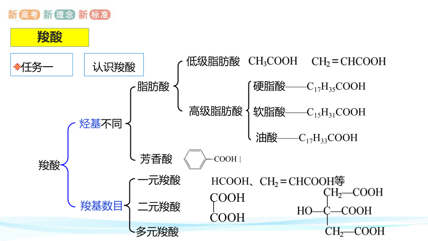 3.4.1  羧酸-高二化学课件(共32张PPT)(人教版2019选择性必修3)