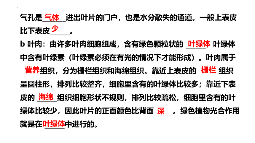 第三单元第三、四、五章章末复习-八年级生物上册同步精品课堂(冀少版)(共41张PPT)