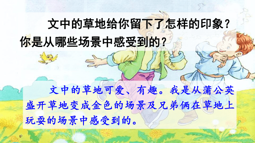 16.《 金色的草地》第二课时课件（共37张PPT）