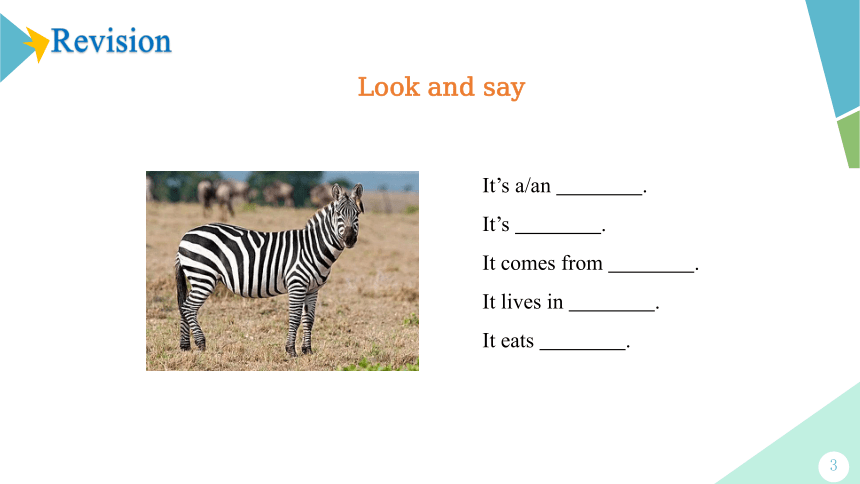 Module 6 A trip to the zoo  Unit 3 Language in use课件（19张PPT）