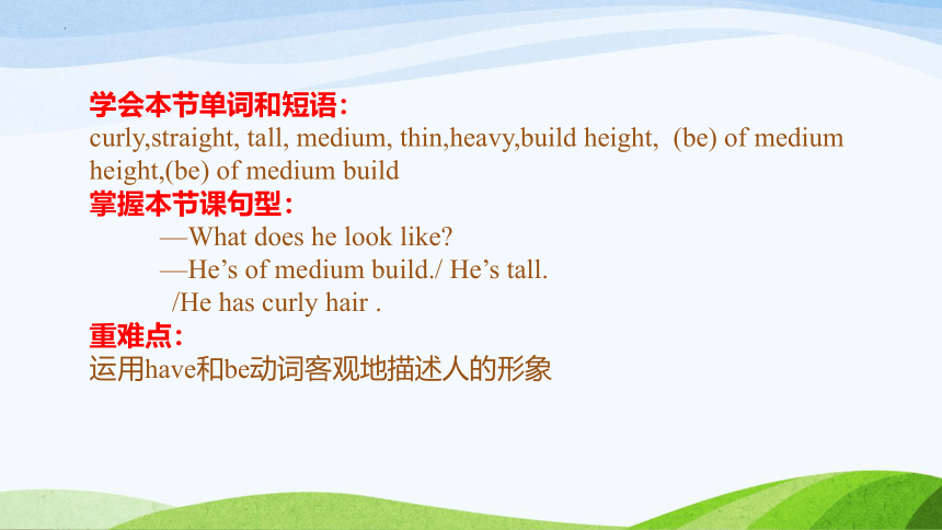 Unit 1 What does he look like Section A 1a-2c 课件(共19张PPT)鲁教版(五四学制)七年级英语上册
