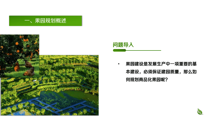 1.3规划设计标准化果园 课件(共22张PPT)-《果树生产技术》同步教学（中国农业出版社）