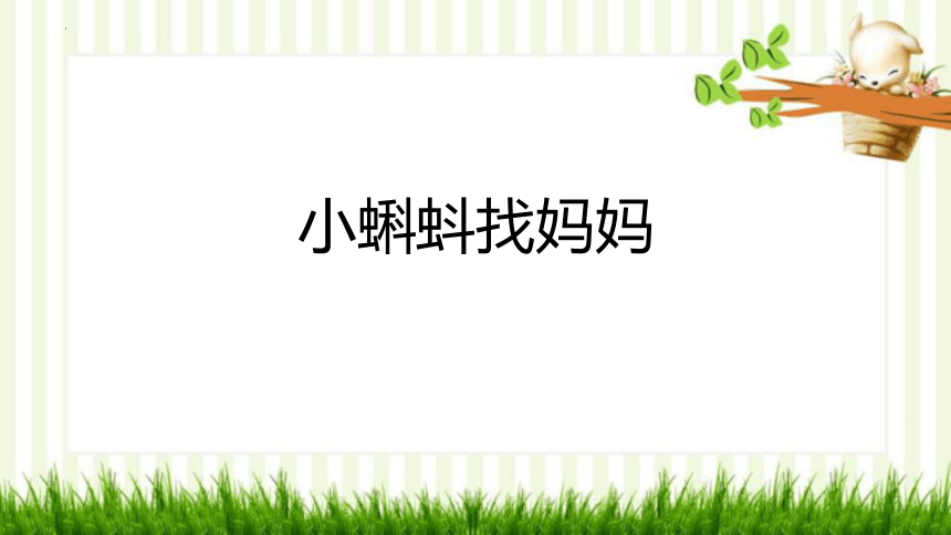 1 小蝌蚪找妈妈 课件(共22张PPT)