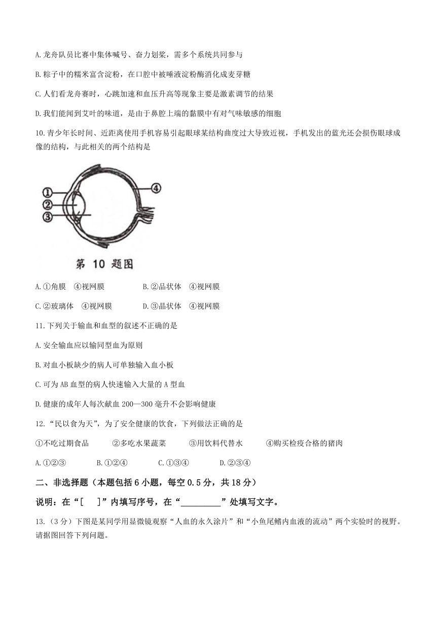 辽宁省大连市高新园区2022-2023学年七年级下学期期末生物试题（含答案）