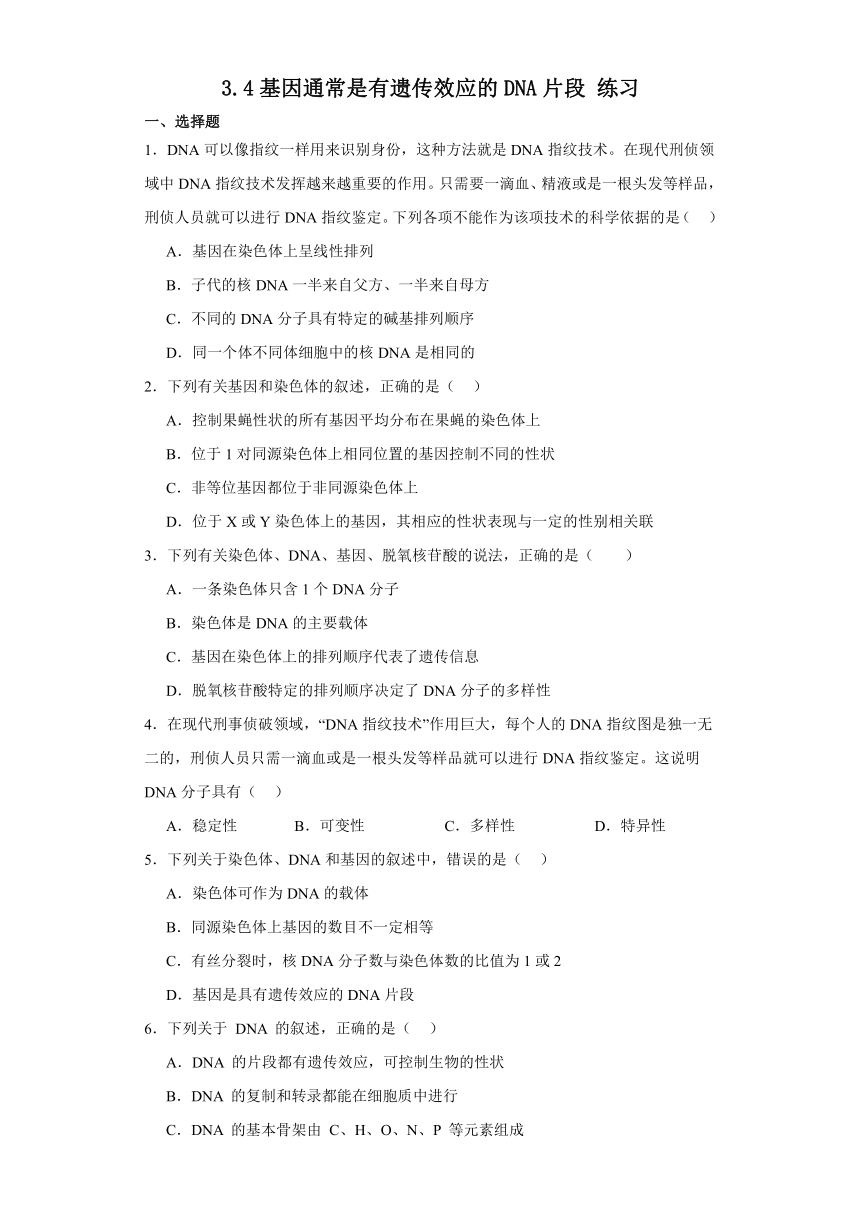 3.4基因通常是有遗传效应的DNA片段 练习（解析版）