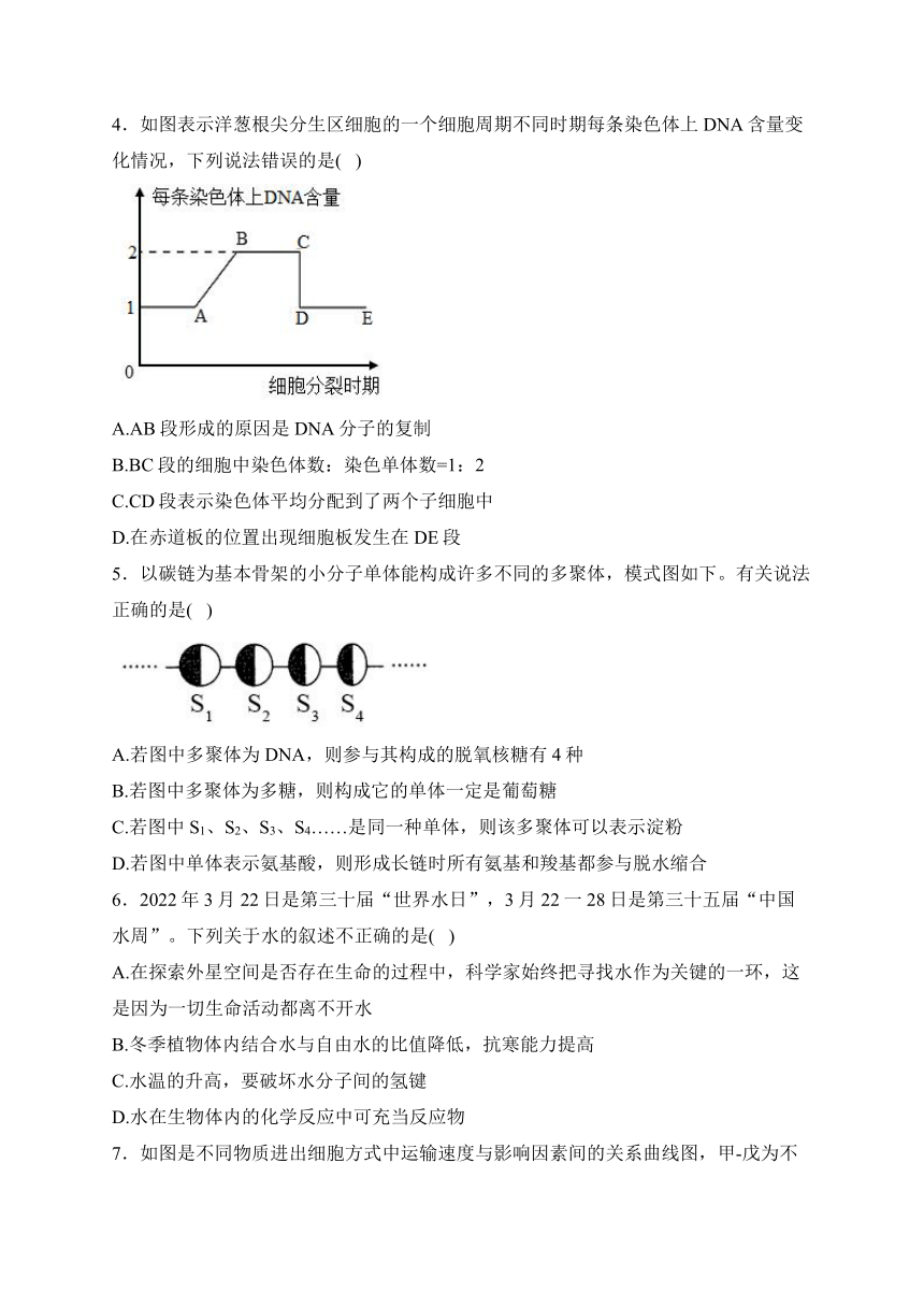 2024年02月广西南宁市武鸣区第一名校高一下学期入学考试生物试题（pdf版含答案）