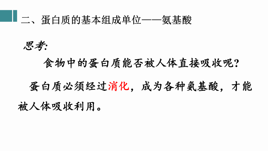 2.4蛋白质是生命活动的主要承担者课件(共30张PPT)-人教版（2019）必修1