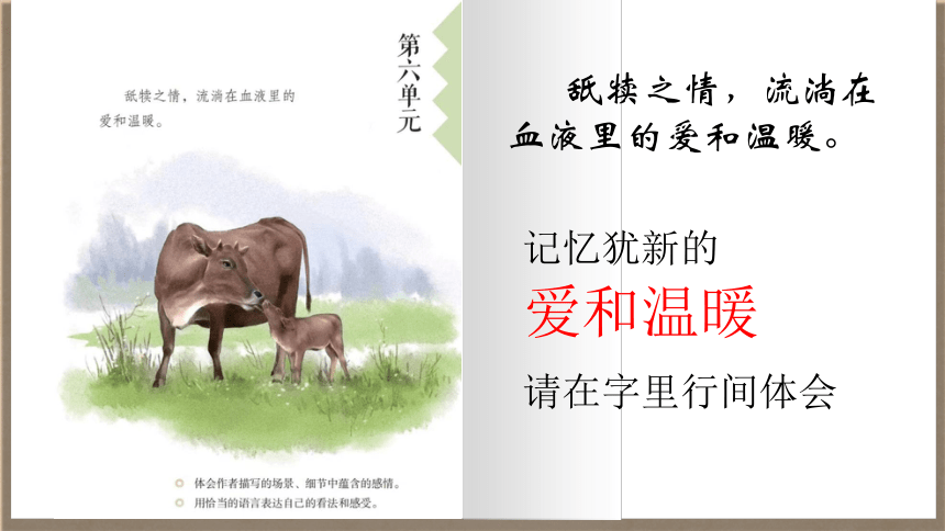 18《慈母情深》课件(共20张PPT)