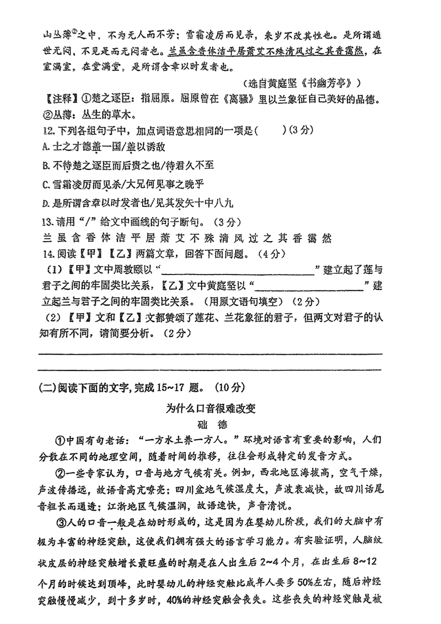 2024年广东省湛江市霞山区部分学校中考一模考试语文试题（pdf版无答案）