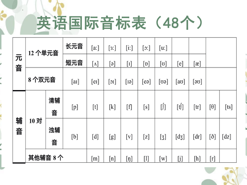 2023初中英语国际音标教学课件（辅音）(共38张PPT)