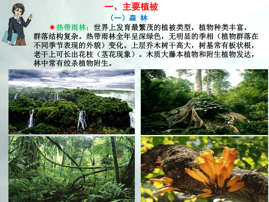 5.1 主要植被与自然环境-高一地理上册同步备课系列（湘教版必修第一册）课件(共58张PPT)