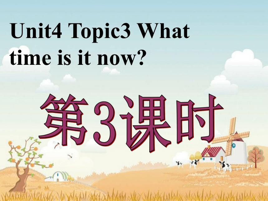 Unit 4 Having fun Topic 3 第3课时 课件（仁爱科普版七年级上册）