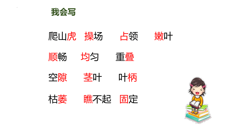 10《爬山虎的脚》  课件(共25张PPT)