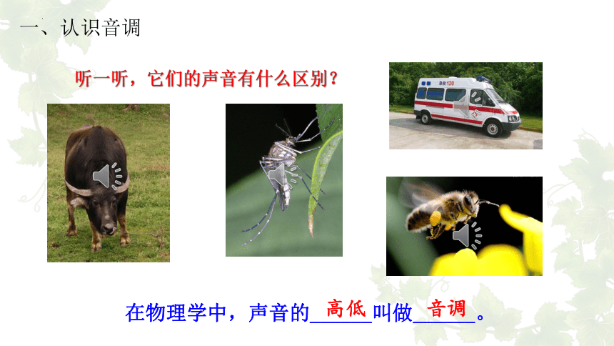 2.2我们怎么区分声音 课件(共24张PPT)2023-2024学年沪粤版物理八年级上册