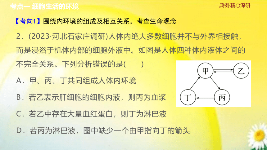 高三生物总复习课件-选择性必修1 稳态与调节：第29讲　人体的内环境与稳态(共29张PPT)