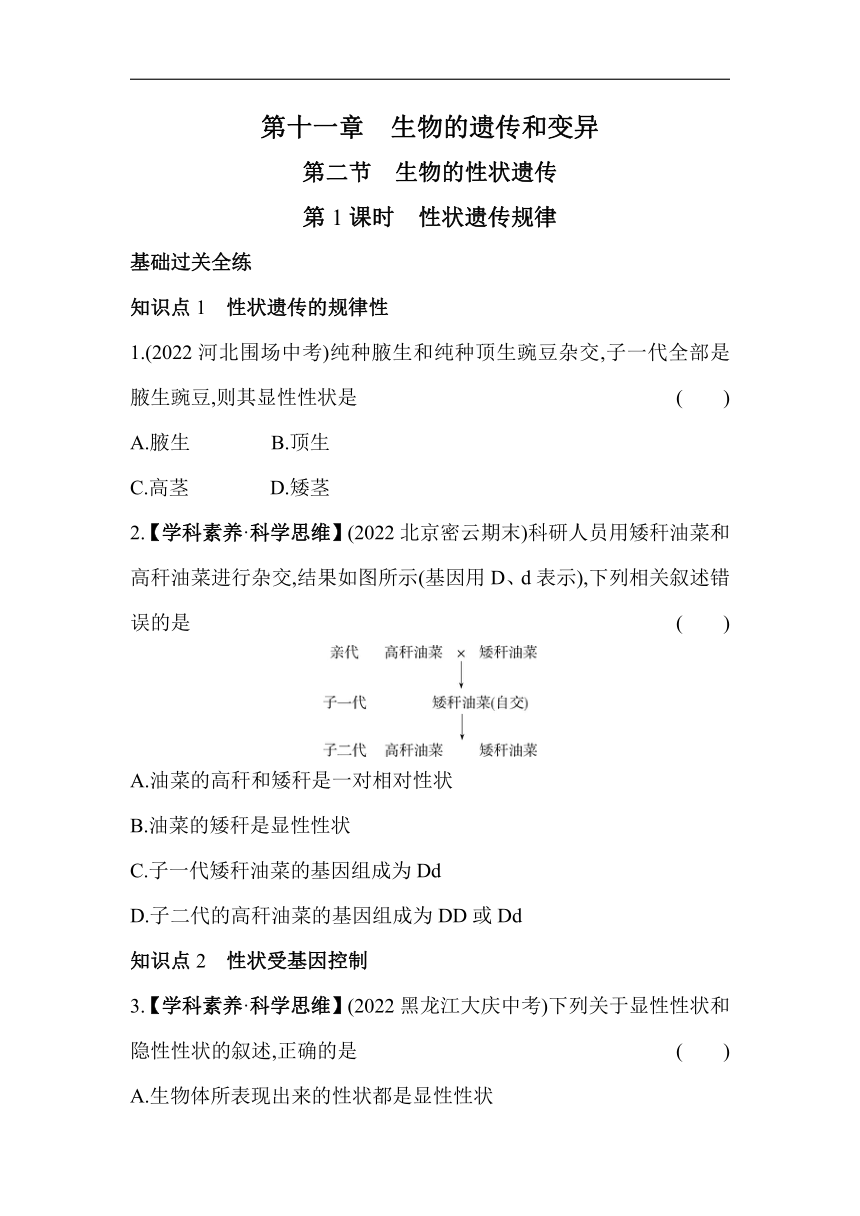 11.2.1性状遗传规律素养提升练（含解析）北京版生物八年级上册